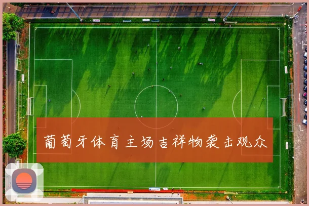 葡萄牙体育主场吉祥物袭击观众