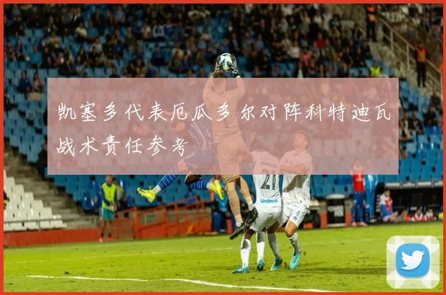凯塞多代表厄瓜多尔对阵科特迪瓦战术责任参考